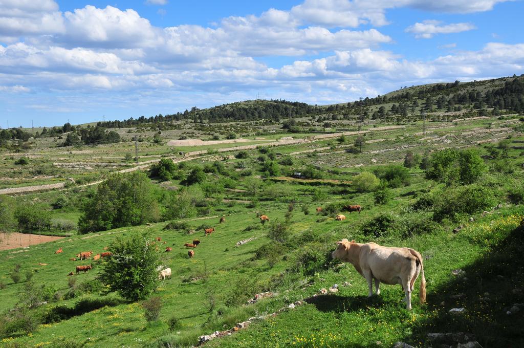Casa Rural El Boixar - El Mirador Bojar Экстерьер фото
