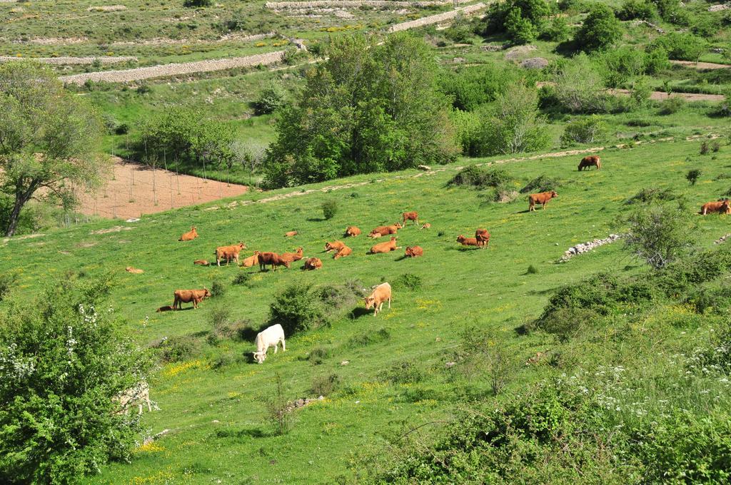 Casa Rural El Boixar - El Mirador Bojar Экстерьер фото